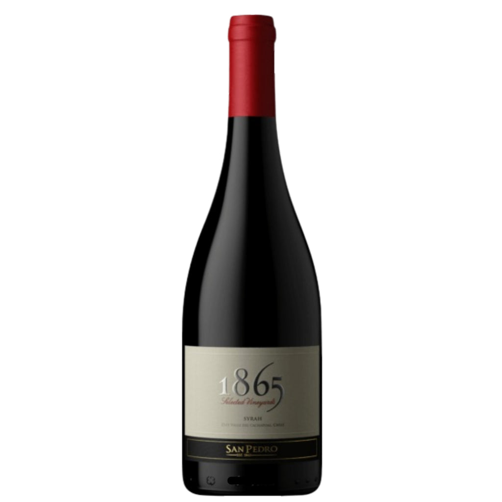 VINHO 1865 SELECTED VINEYARDS SYRAH 2019